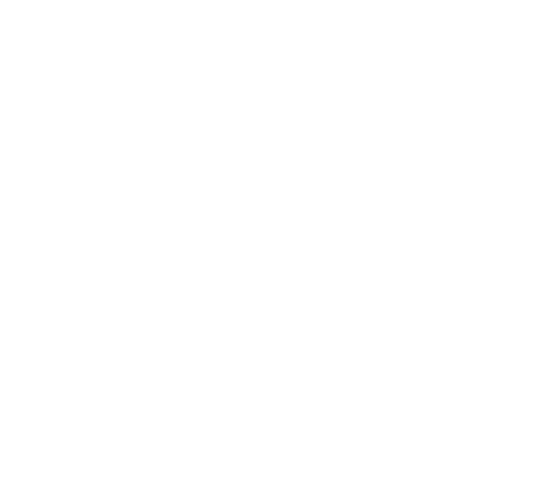 ícono envío internacional